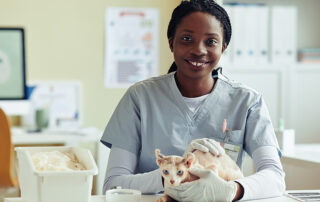 Veterinarian reviewing licensing and permit documents for a new clinic