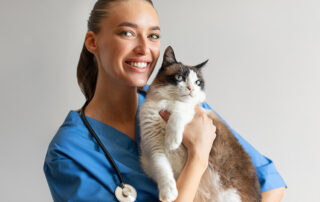 Veterinarian writing a business plan for a new veterinary practice