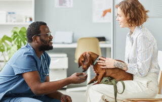 Veterinary practice marketing materials to attract first clients