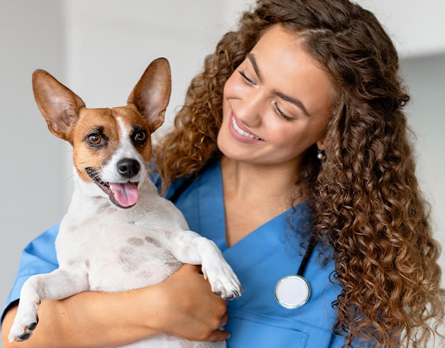 HTOV-3-2-young-vet-holding-dog-1-1
